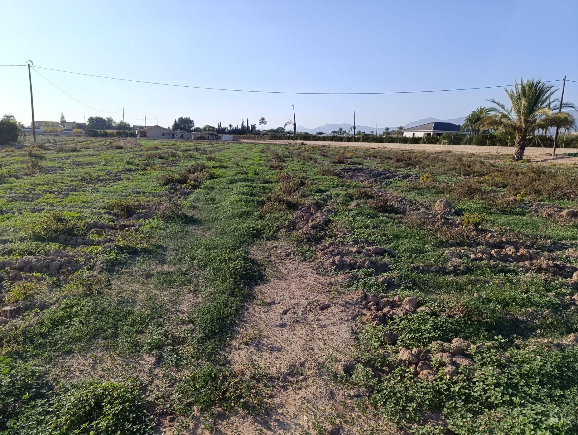 Residencial en venda en Elche / Elx