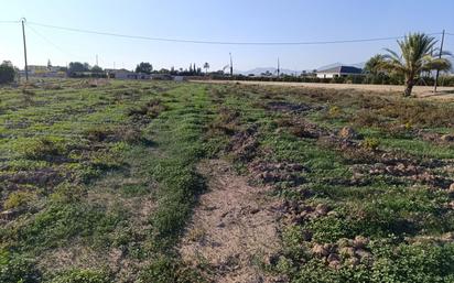 Industrial land for sale in Elche / Elx