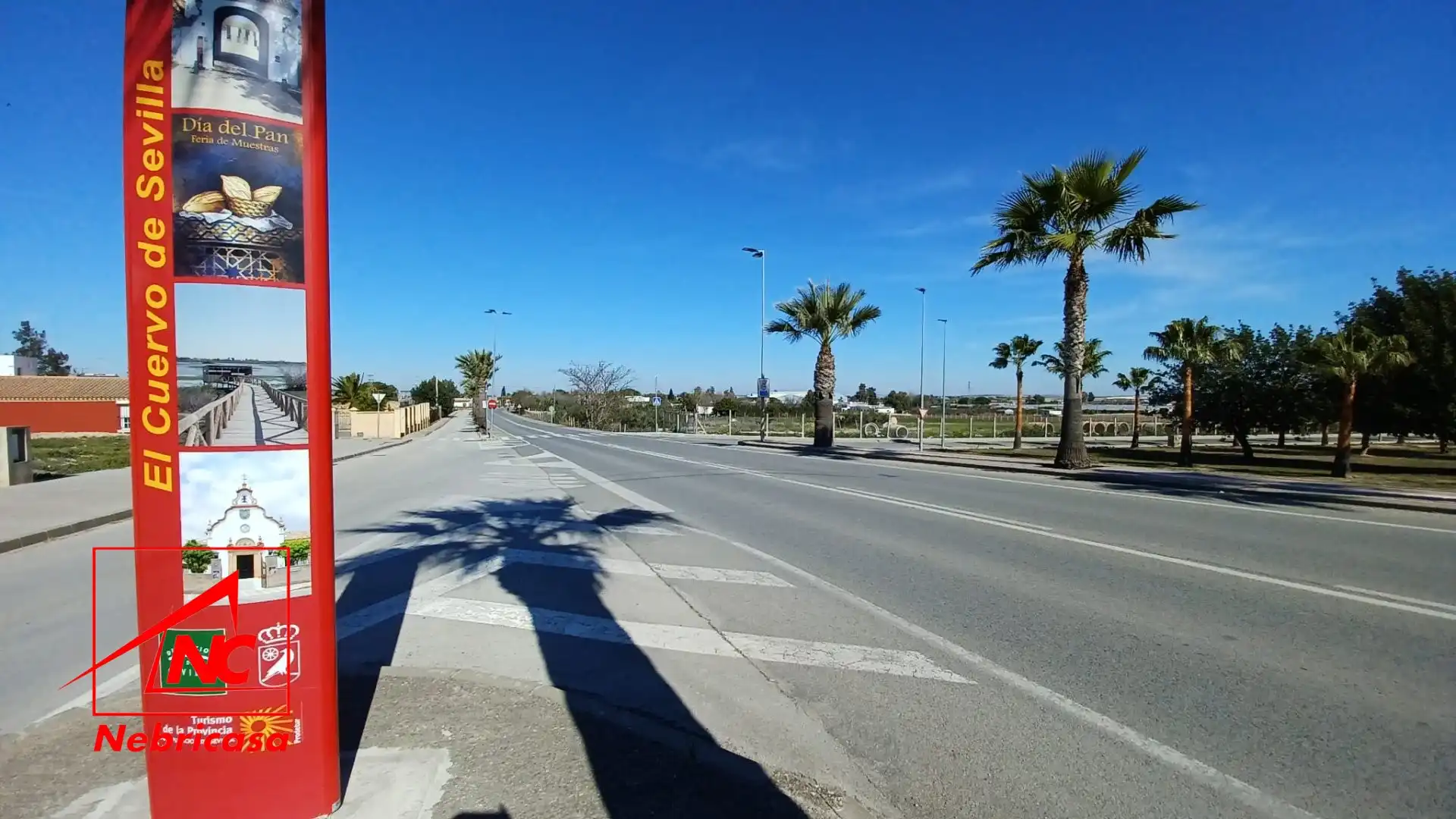 Lands and plots for sale in El Cuervo de Sevilla, imagen 6
