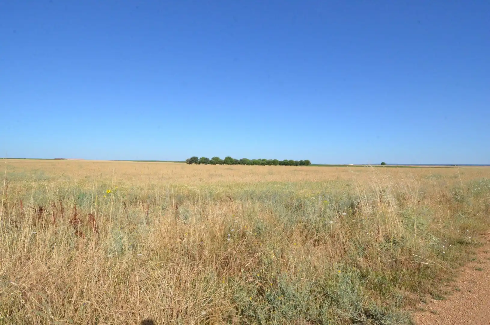 Terreny rústic en venda a Calzada de Valdunciel, imagen 3