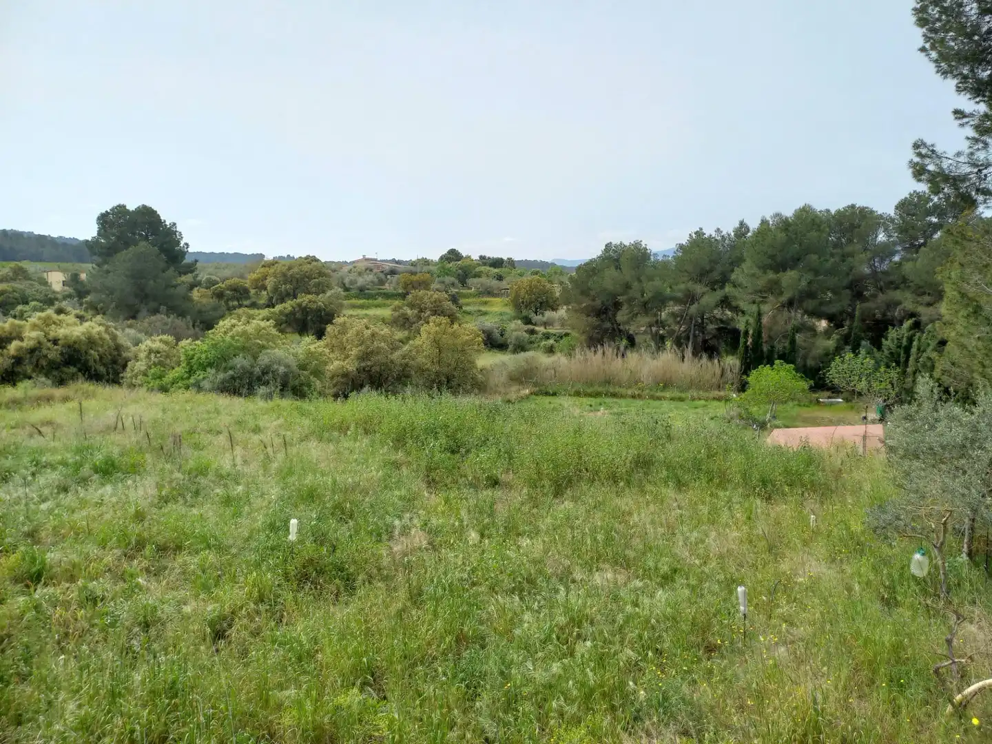 Rural land for sale in Ginestar, imagen 24