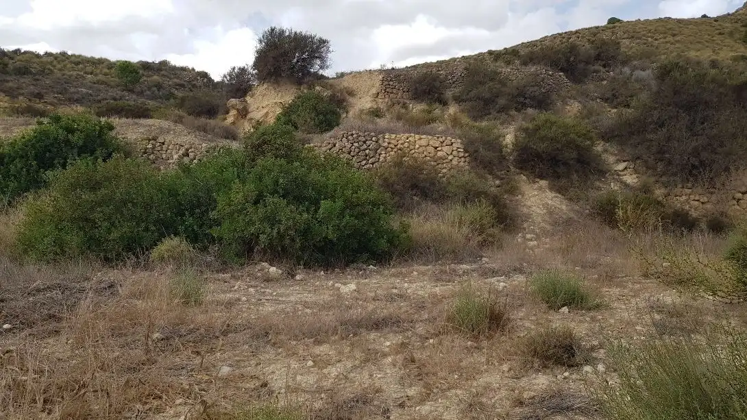Terrenys i solars en venda a Sorbas, imagen 7