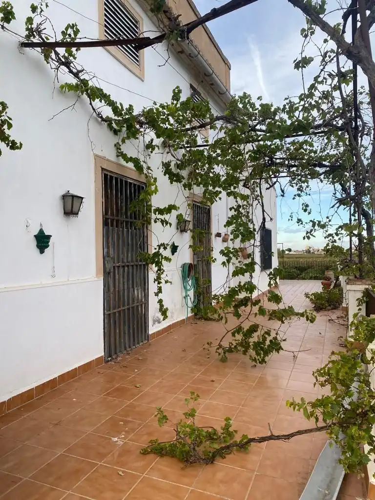 Vista exterior de Finca rústica en venta en Benifaió con Jardín privado, Terraza y Trastero