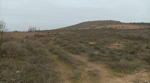 FINCA DE REGADIO CON CASETA DE PIEDRA Y FACIL ACCESO, imatge 2