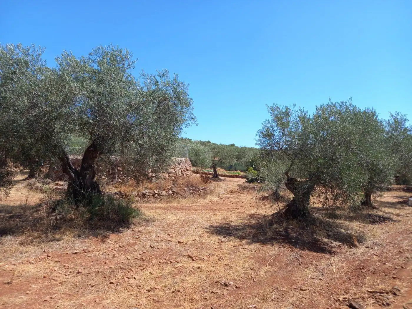 Finca rústica en venda en Cáceres