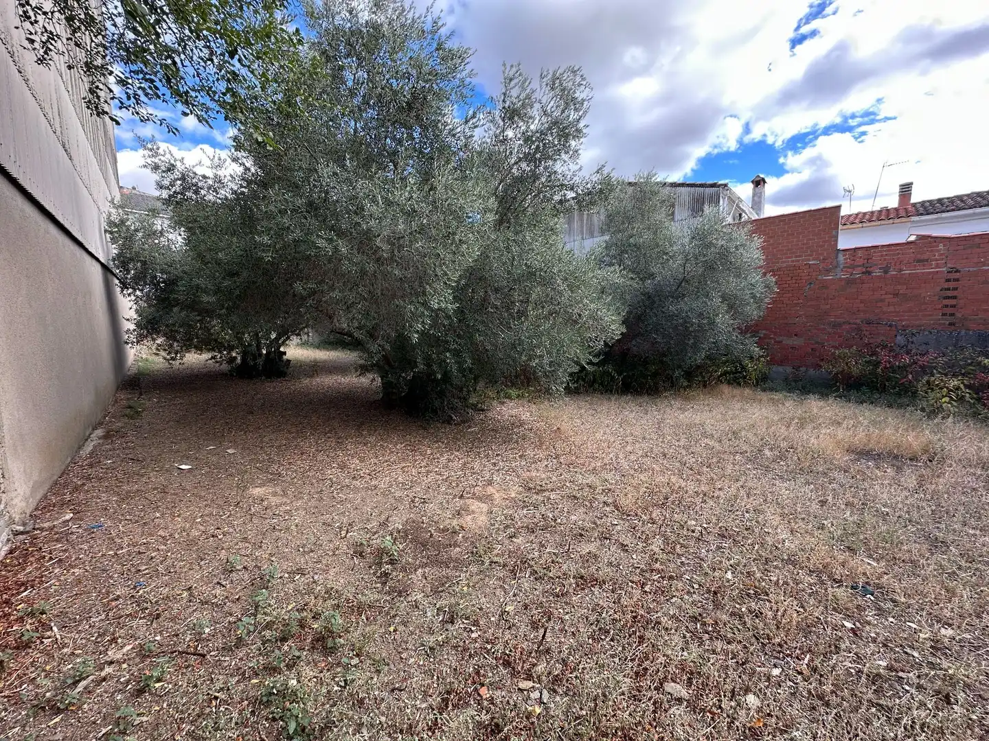 Terreni e lotti in vendita a Malpartida de Plasencia