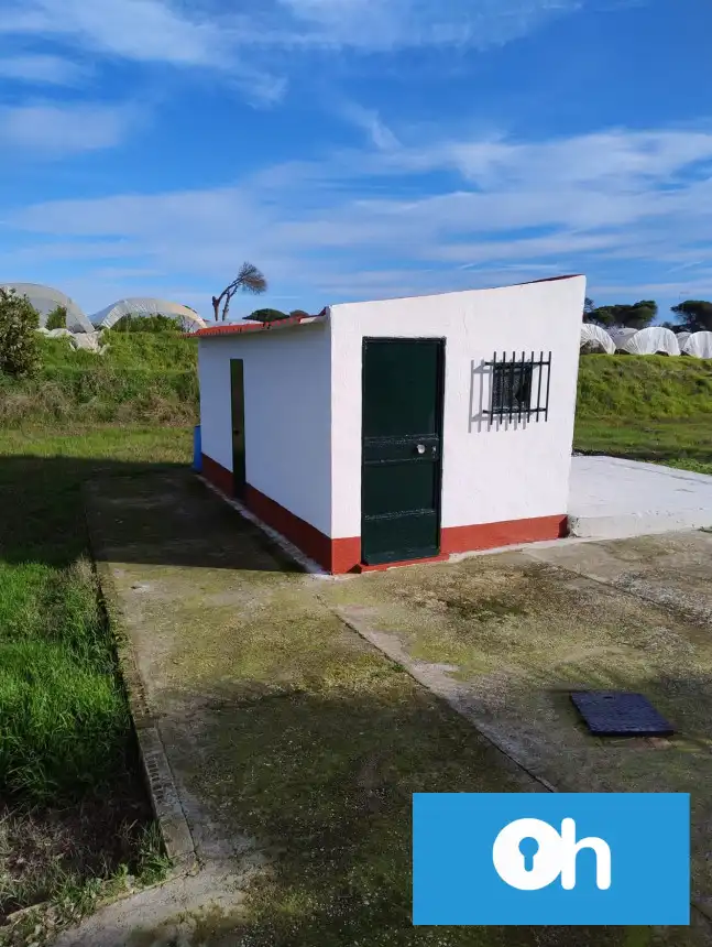 Vista exterior de Finca rústica en venta en Bonares