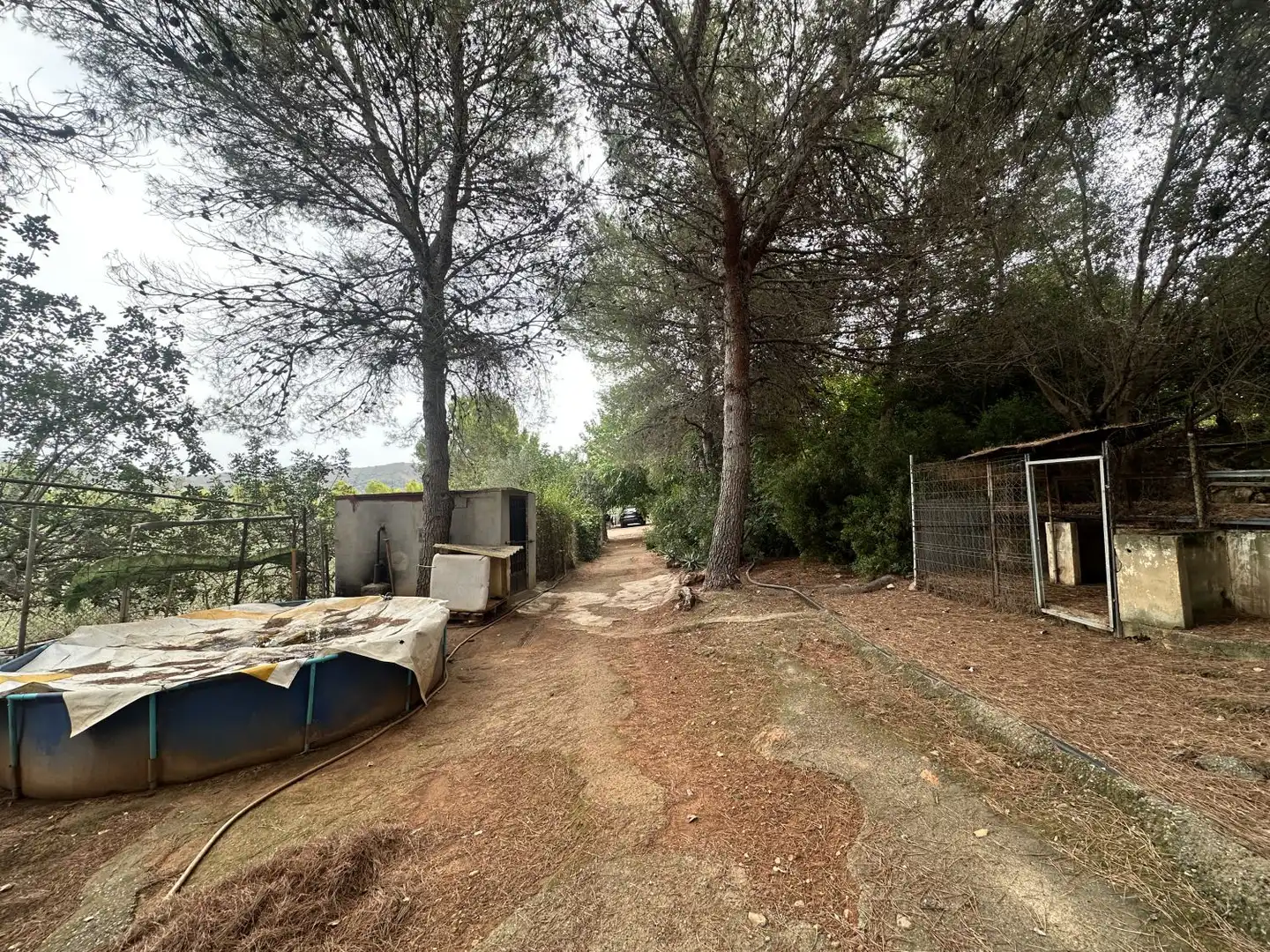 Xalet amb piscina en venda a Algar de Palància, imagen 10
