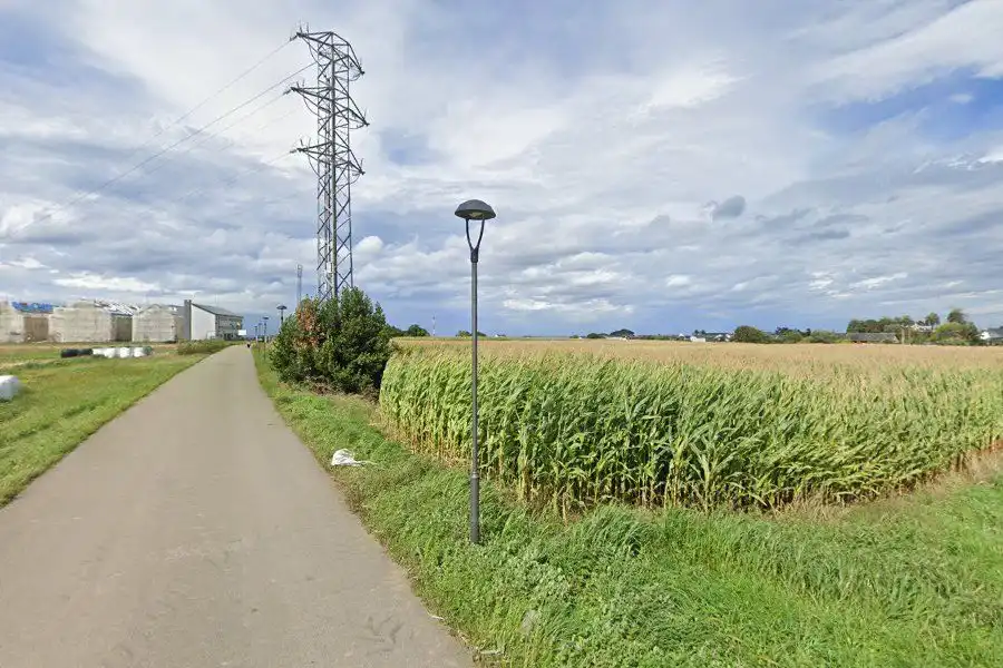 Grundstücke und Bauplätze zum Verkauf in 17 Parcela 450 LOS PULPINOS, imagen 9