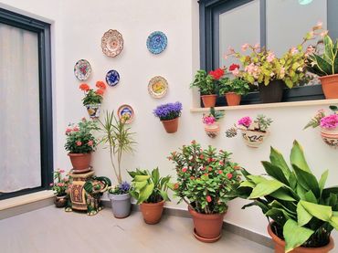 Apartament amb ascensor en venda a Calle GOYA 3