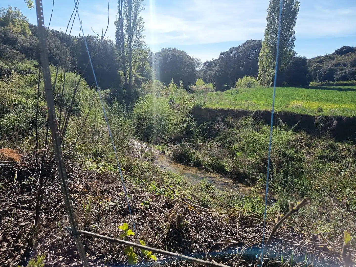 Land for sale in Leoz / Leotz