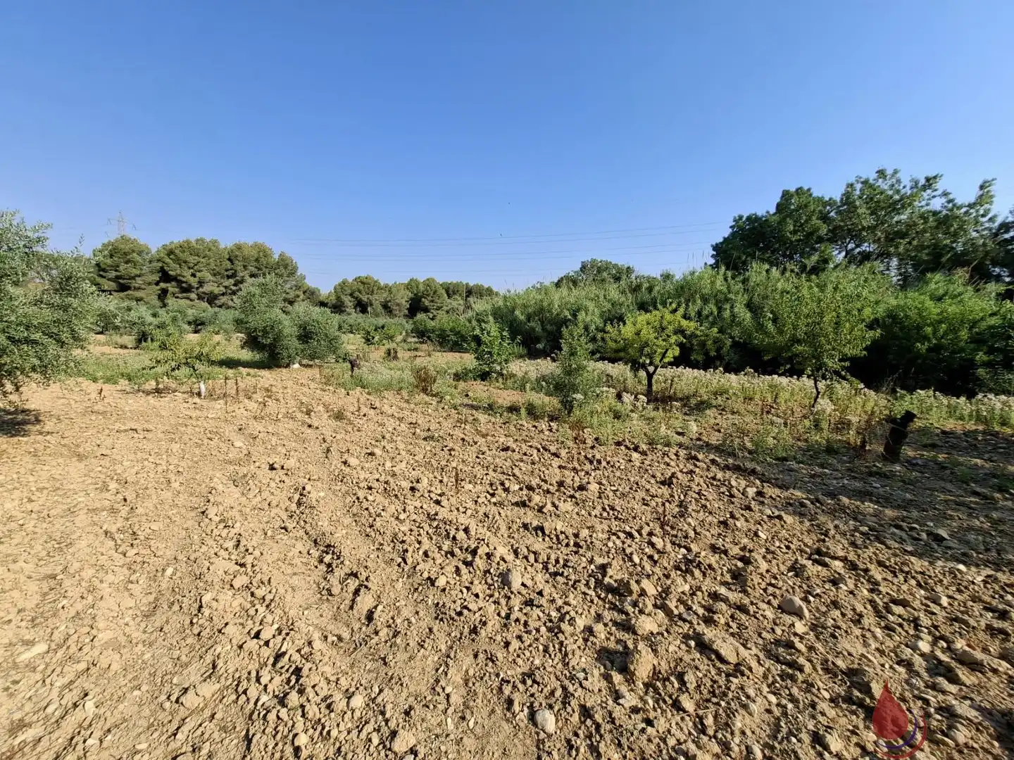 Terrenys i solars en venda a L'Arboç