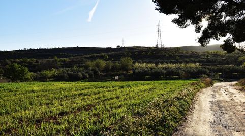 Foto 4 de Terreno en venta en Padul, Granada