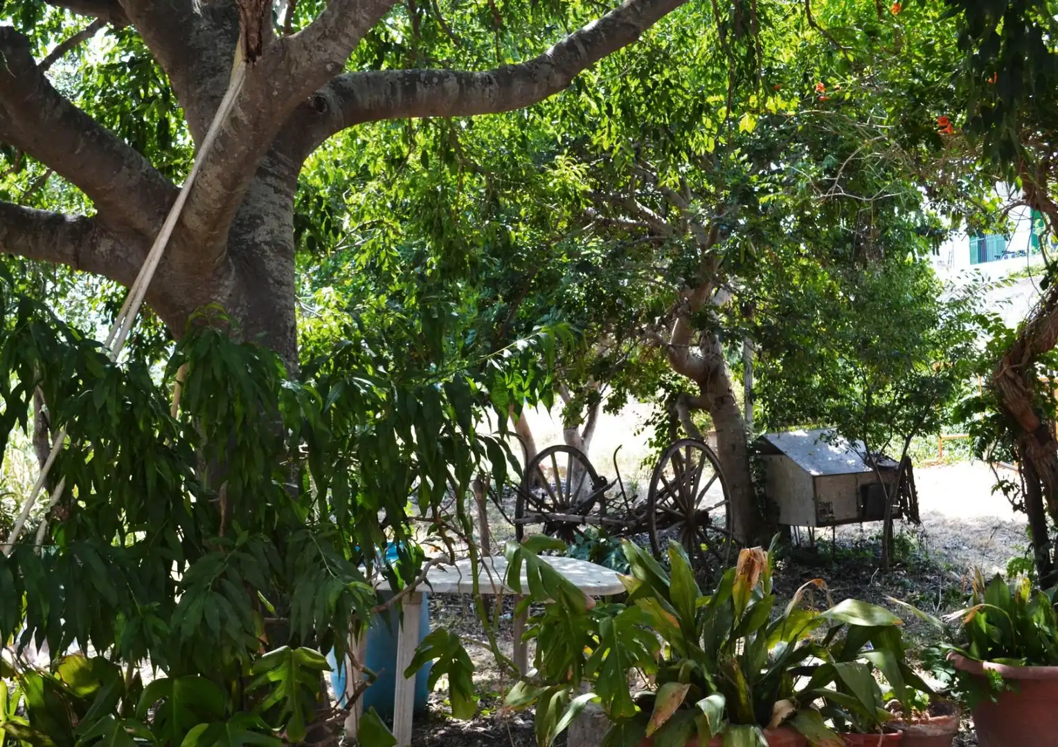 Casa o xalet en venda a Ma-1040, El Secar de la Real