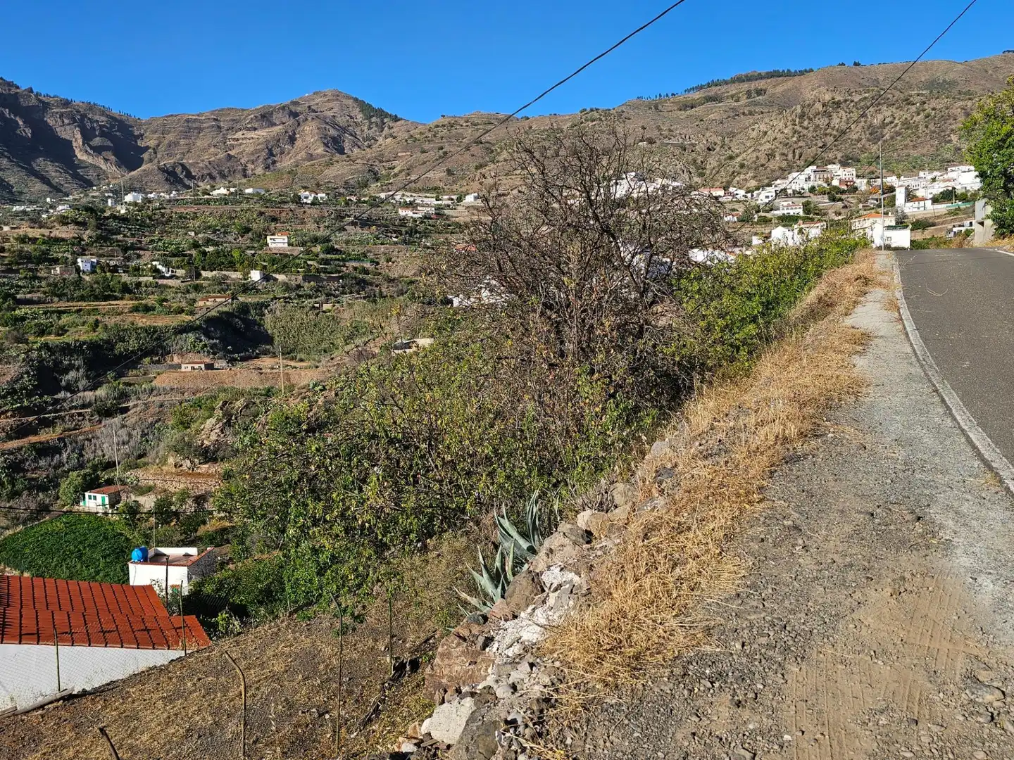 Vista exterior de Finca rústica en venta en Tejeda