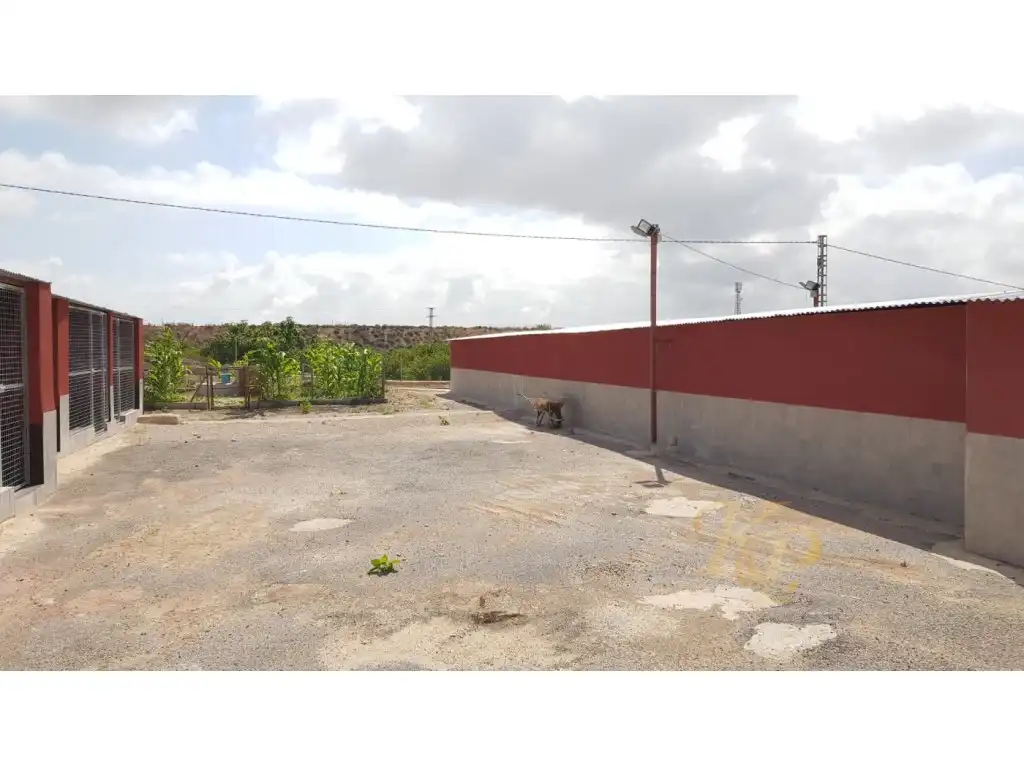 Casa en venta en Los Montesinos, imagen 14