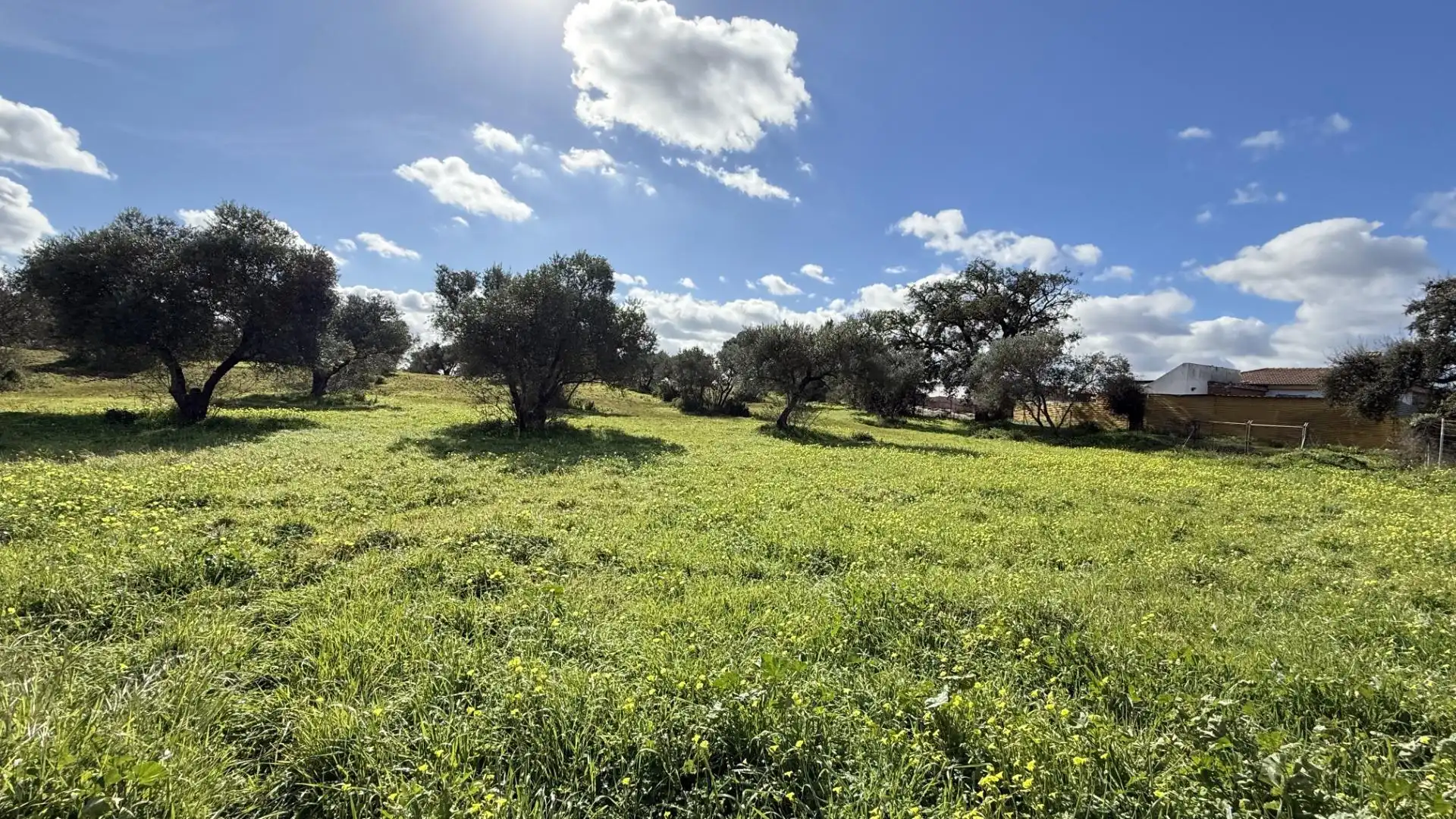 Country homes for sale in Gibraleón
