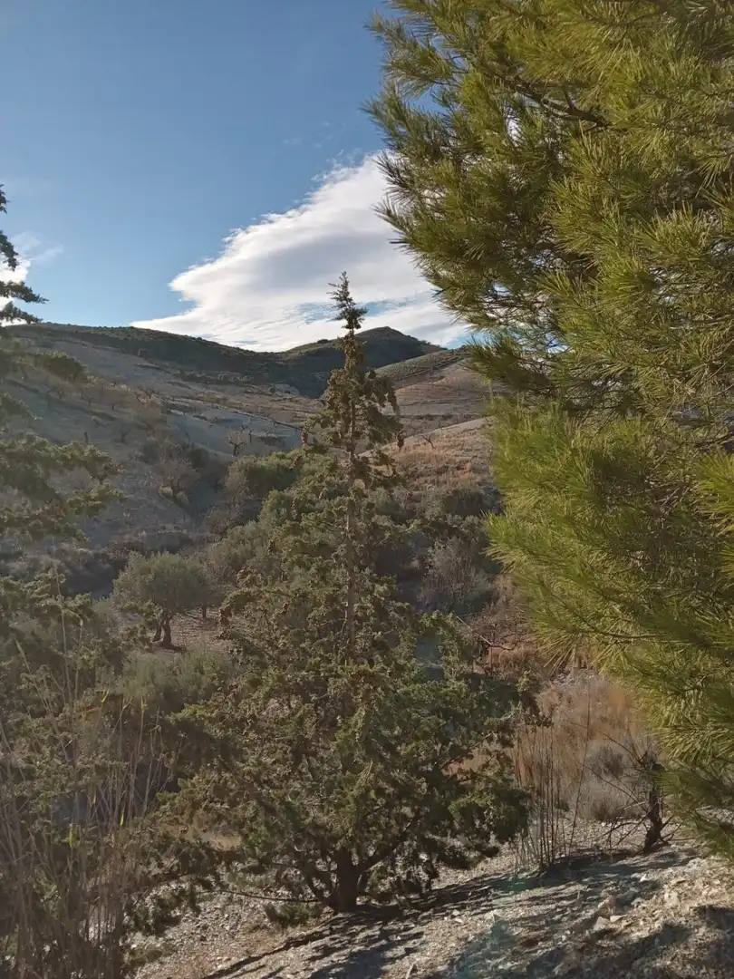 Country homes for sale in Puerto Lumbreras