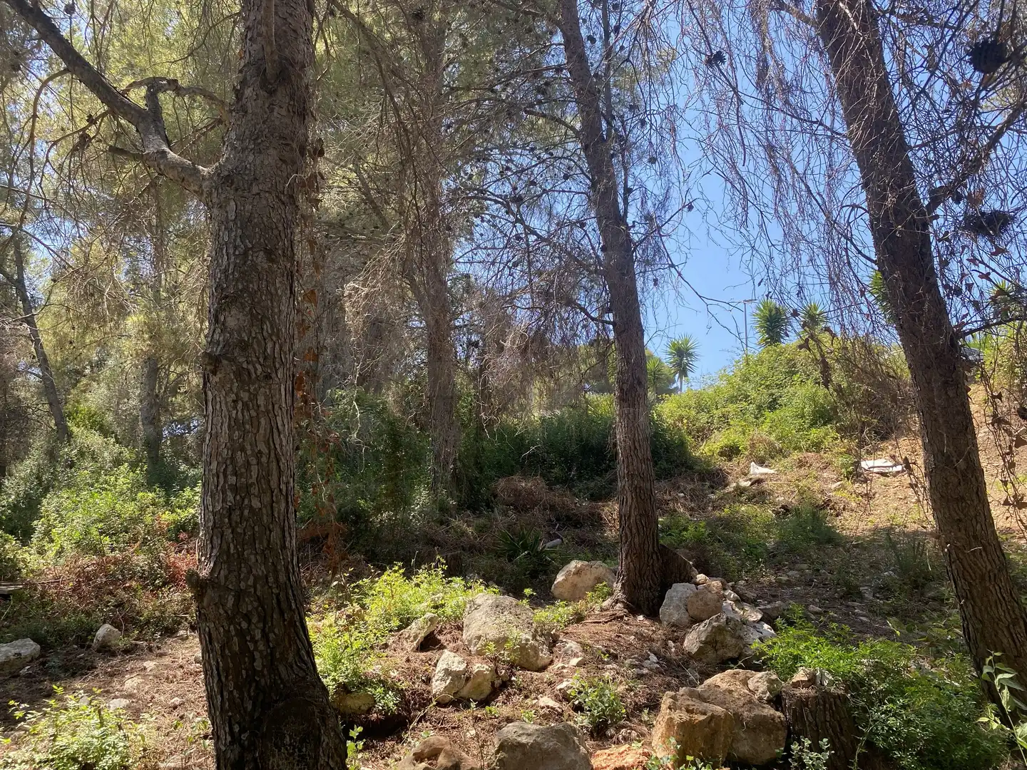 Residential land for sale in Urbanitzacions de Llevant, imagen 15