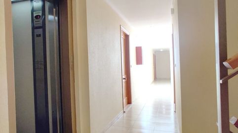 Foto 4 de Ático en venta en Avenida Habaneras - Curva de Palangre, Torrevieja