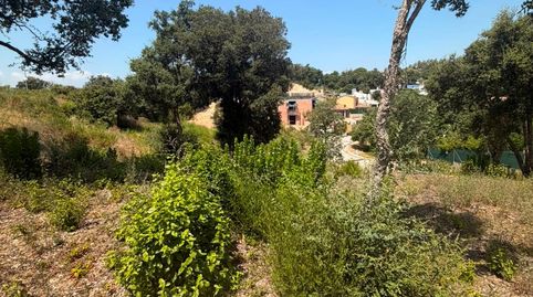 Parcela de 1.200 m2 en Lloret de Mar, imatge 4