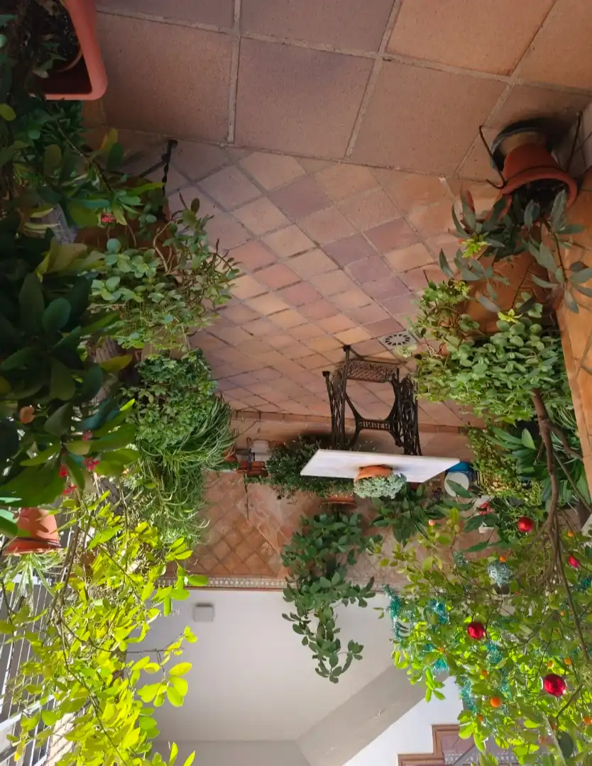 Garden of Detached homes for sale in Córdoba  with Air Conditioner, Heating and Terrace