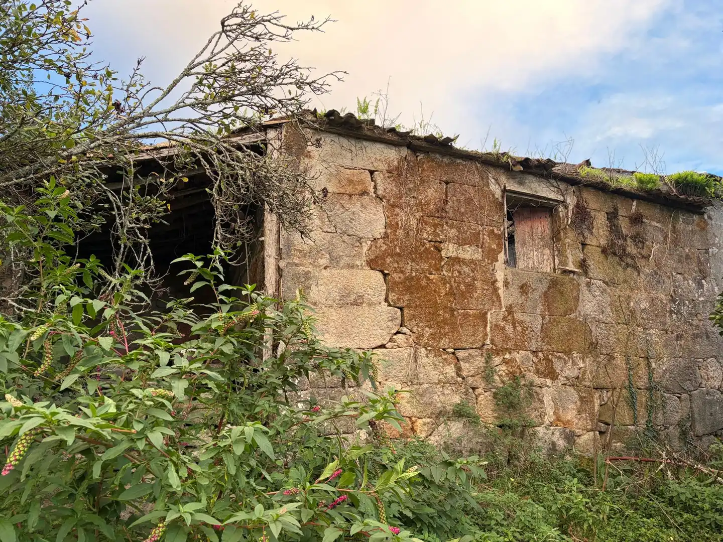 Maison rustique avec jardin à vendre à Campo das Bestas 5, imagen 26