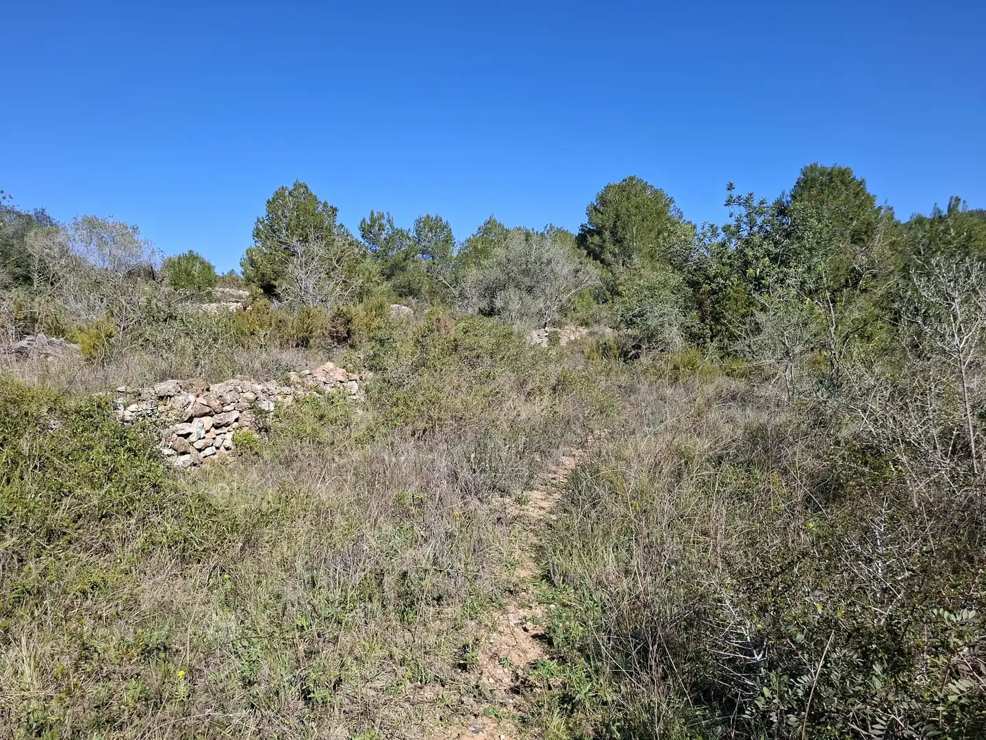 Terreny rústic en venda a Ulldecona, imagen 18