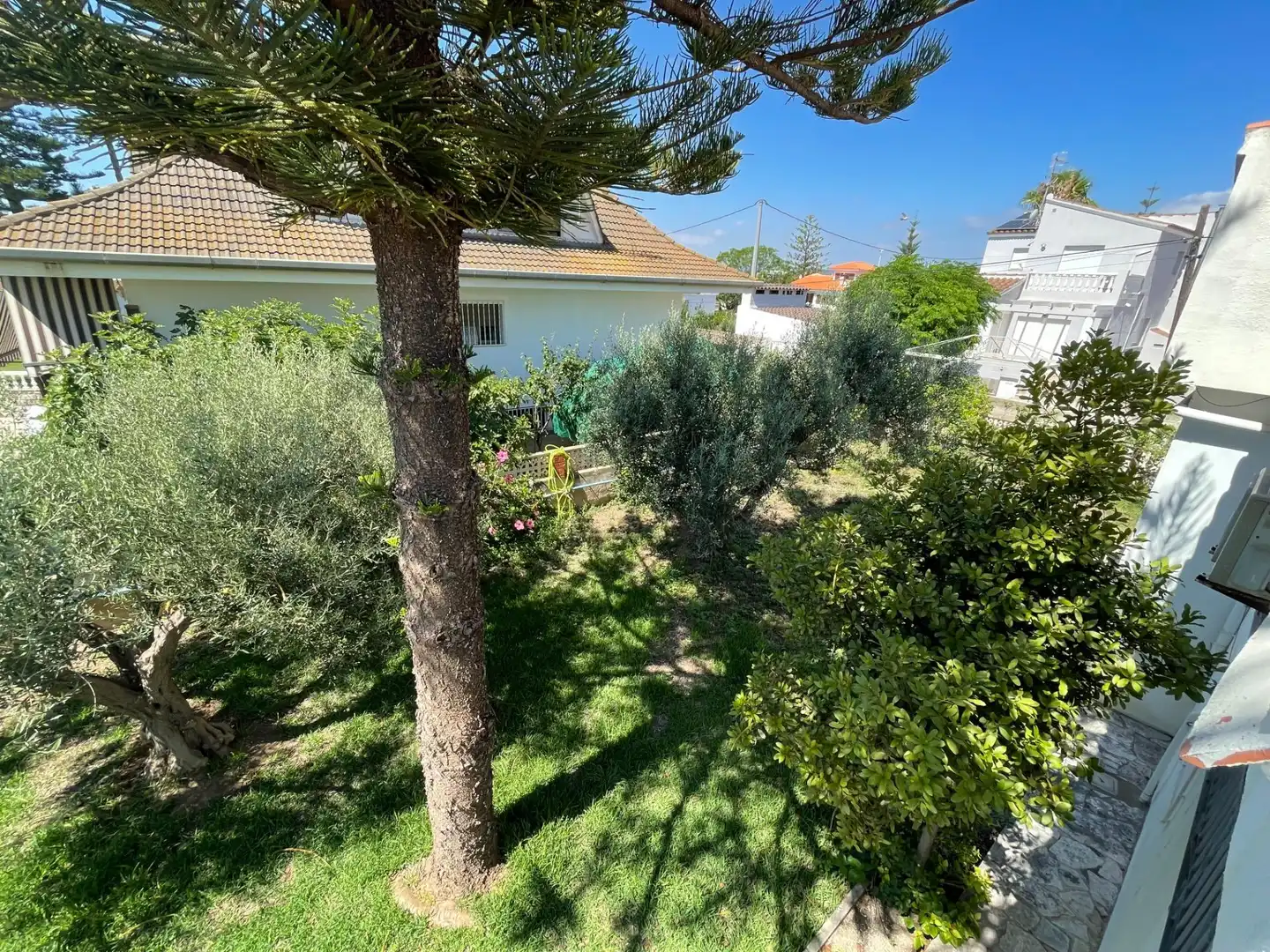 Jardí de Casa o xalet en venda en Vinaròs amb Calefacció, Jardí privat i Terrassa