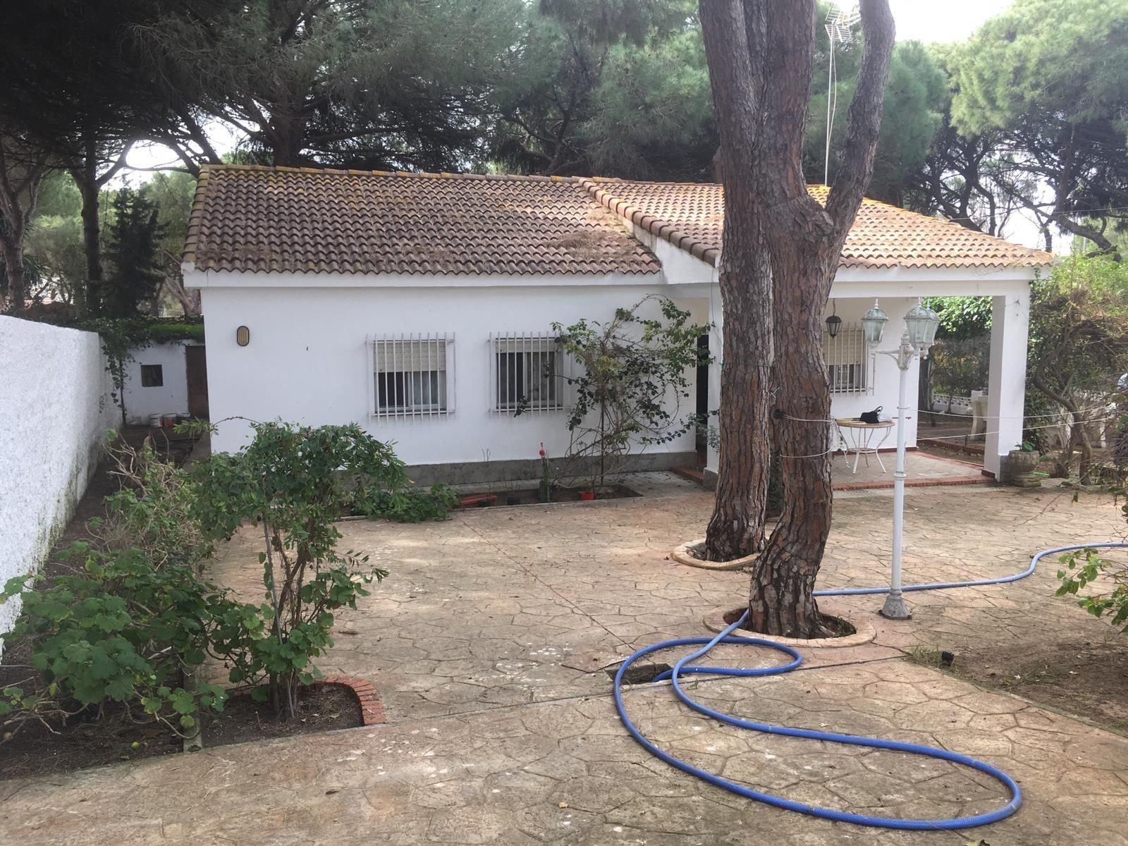 Jardín de Casa o chalet en venta en Chiclana de la Frontera con Jardín privado, Trastero y Piscina