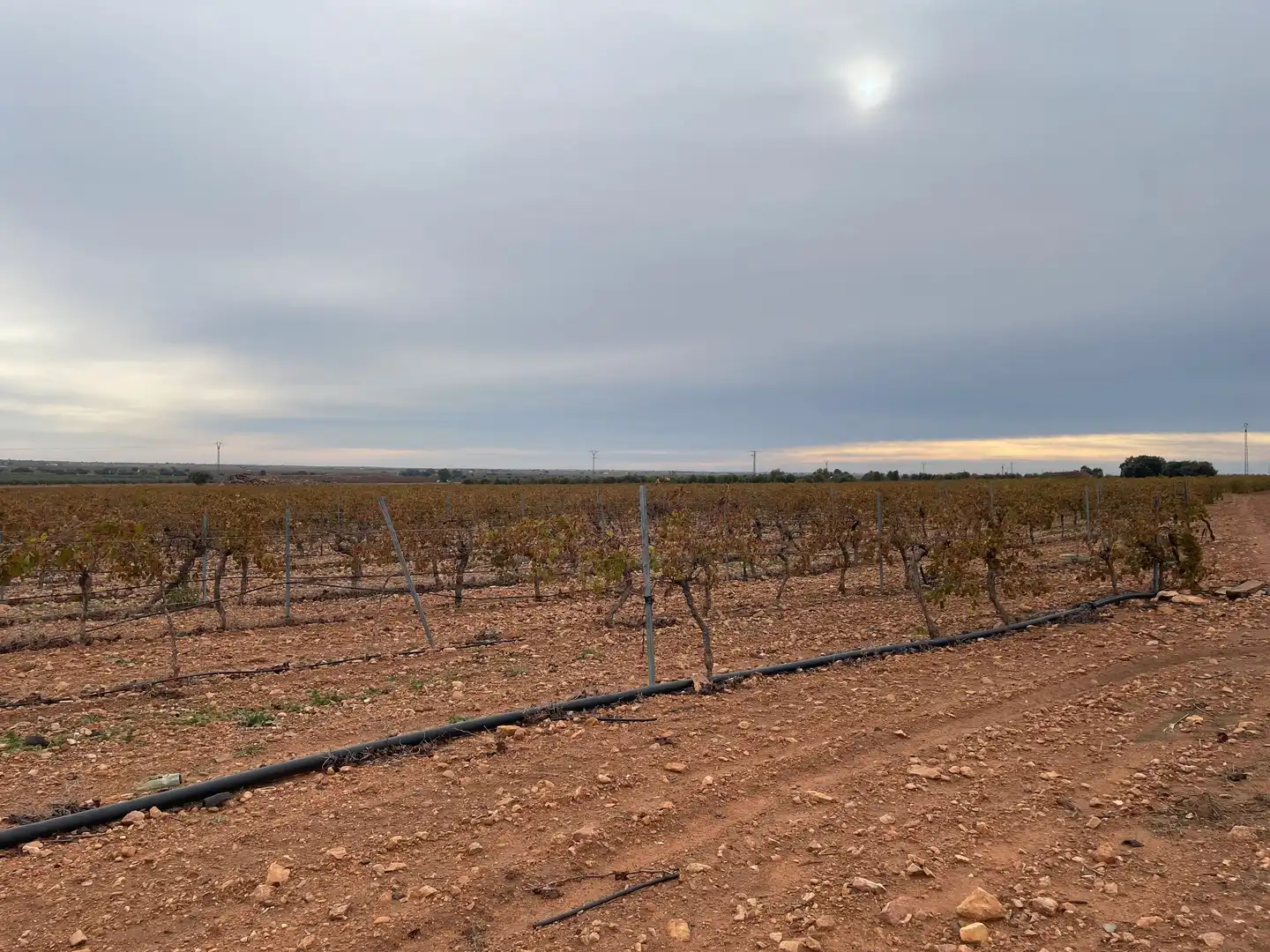 Terreno rustico in vendita a TO-2999 5, imagen 7