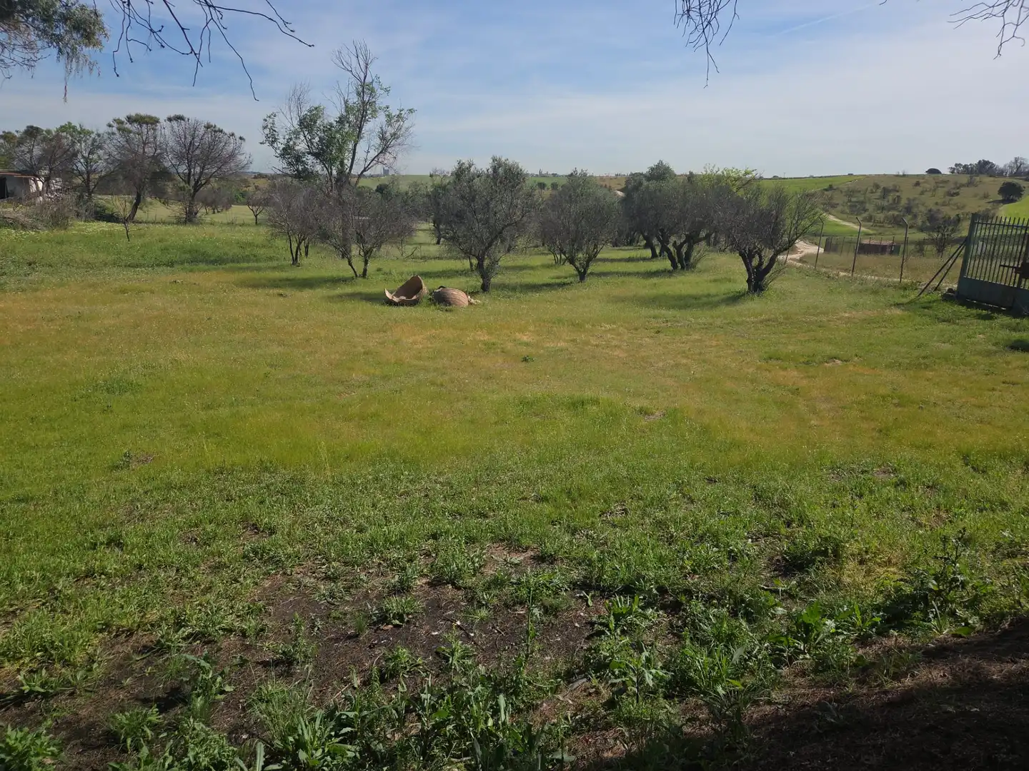Finca rústica en venta en Navalcarnero