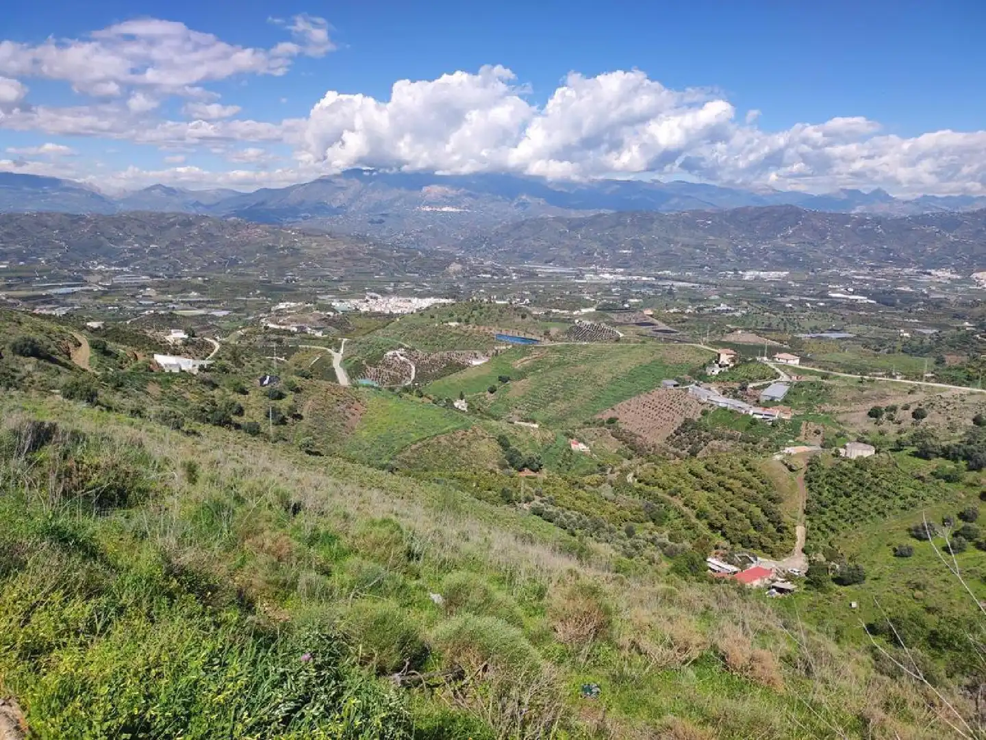 Vista exterior de Casa o chalet en venta en Benamocarra con Jardín privado, Terraza y Trastero