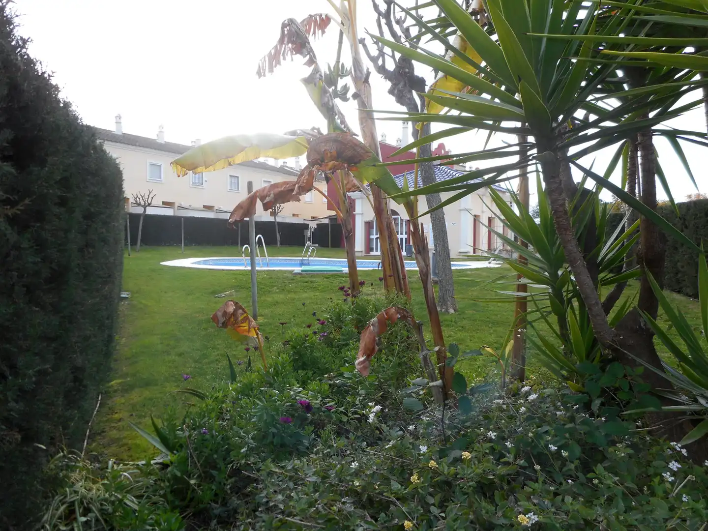 Piscina de Casa o chalet en venta en Islantilla con Jardín privado, Terraza y Trastero