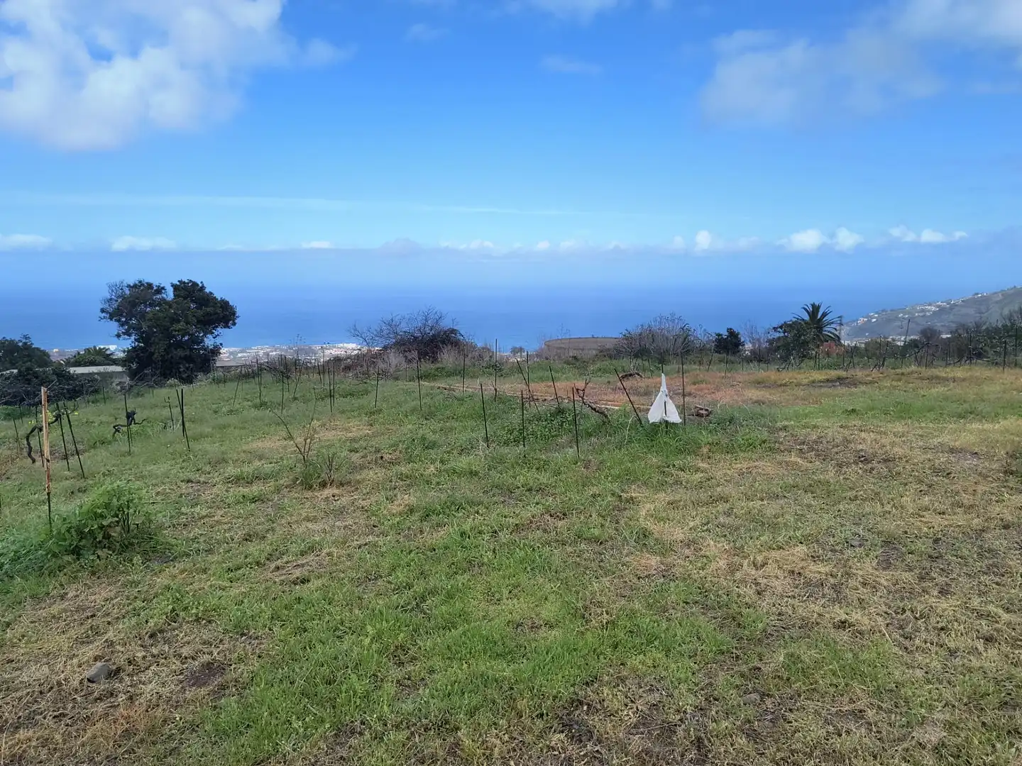 Houses for sale in La Orotava  with Private garden, Terrace and Storage room