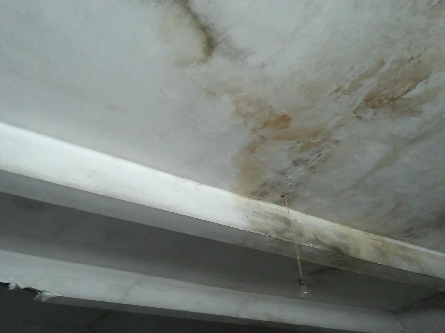 Immobles singulars en venda a Calle Palencia, imagen 4