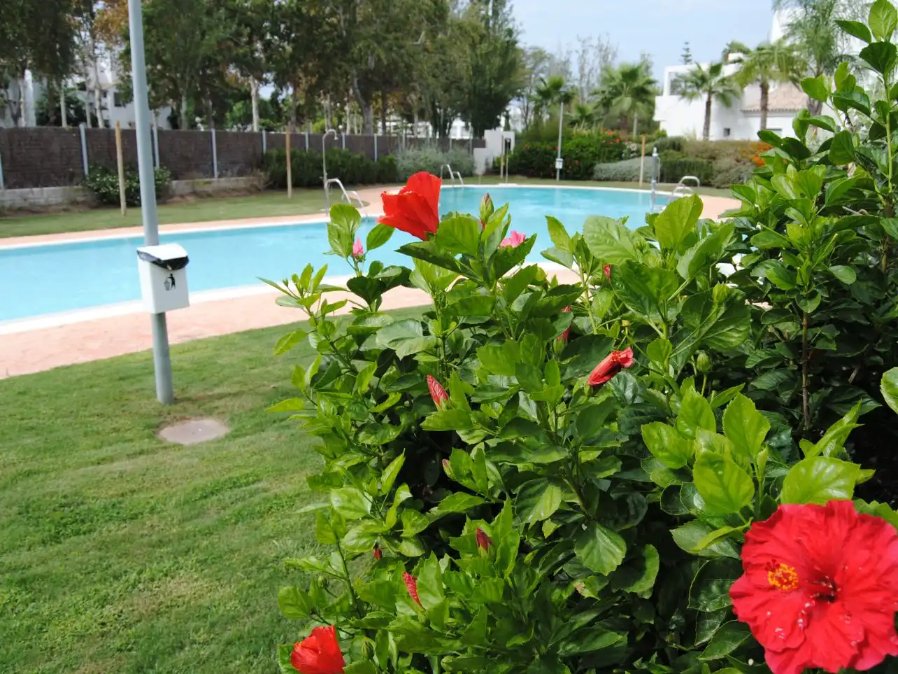 Piscina de Pis en venda en Chipiona amb Terrassa