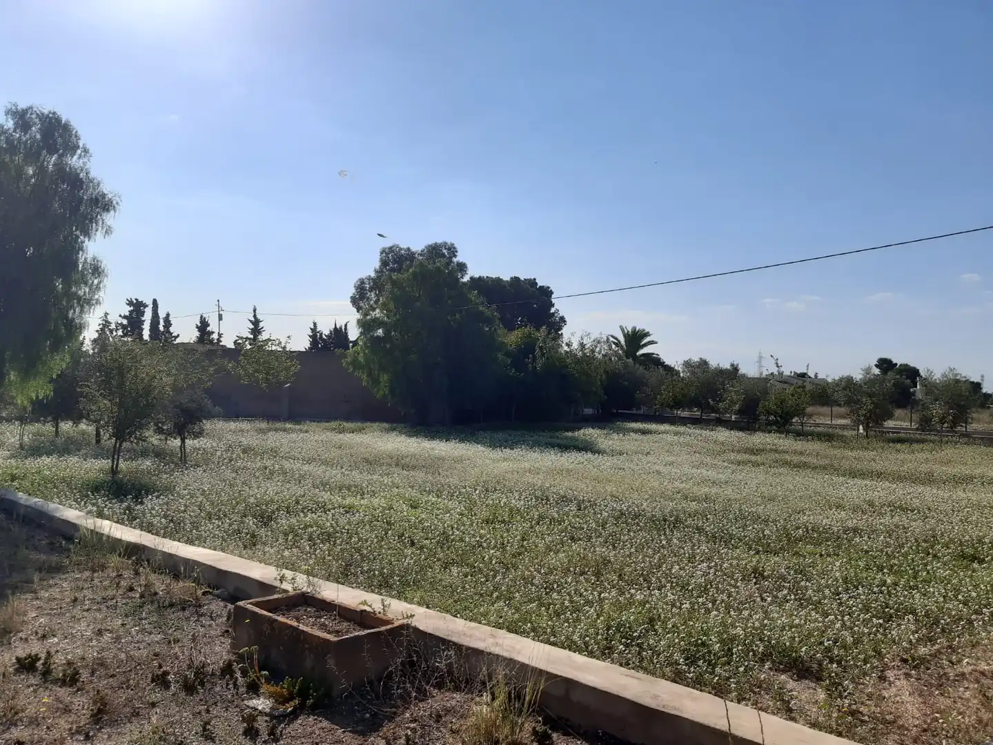 Terreny en venda en San Vicente del Raspeig / Sant Vicent del Raspeig