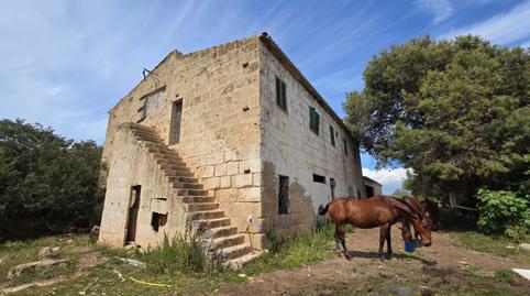 Foto 2 de Finca rústica en venda a Son Gual,  Palma de Mallorca