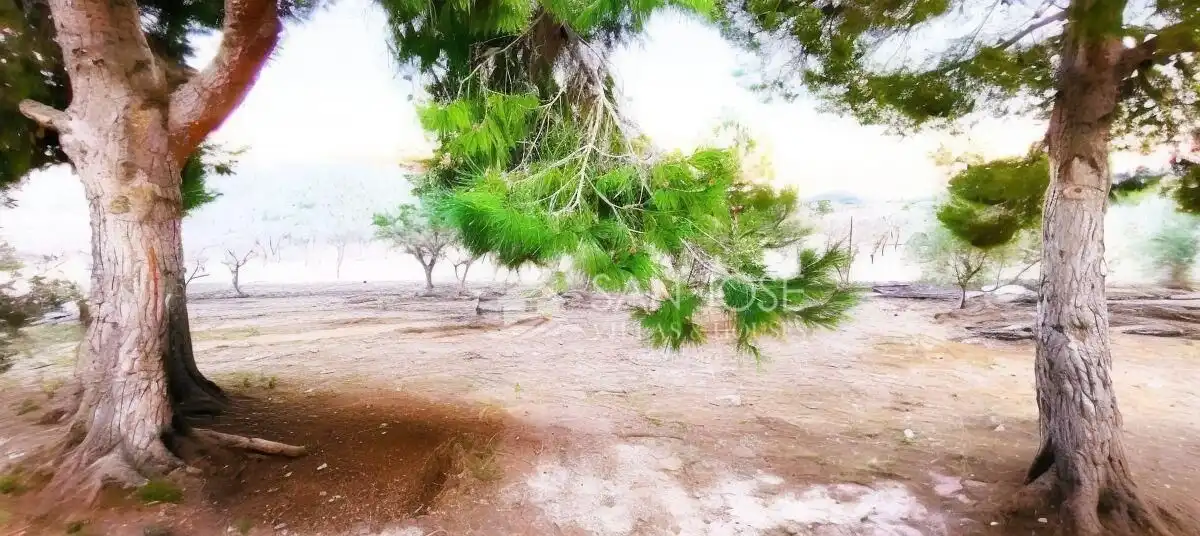 Casa o xalet en venda en Monóvar  / Monòver amb Calefacció, Traster i Piscina