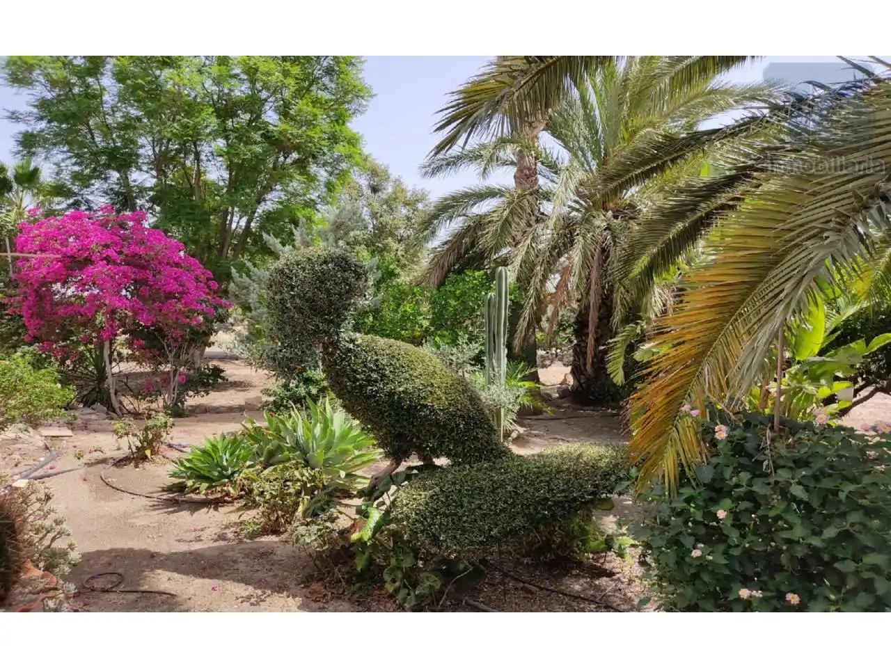 Casa amb jardí en venda a Calle MOLINOS, imagen 24