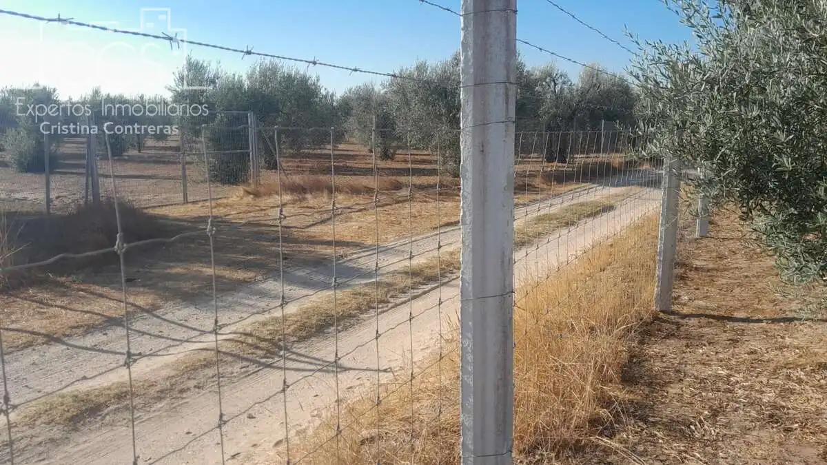 Terreni e lotti in vendita a Almonte ciudad, imagen 18