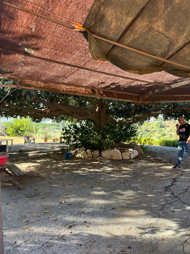 Jardín de Finca rústica en venta en Cártama con Aire acondicionado, Terraza y Amueblado