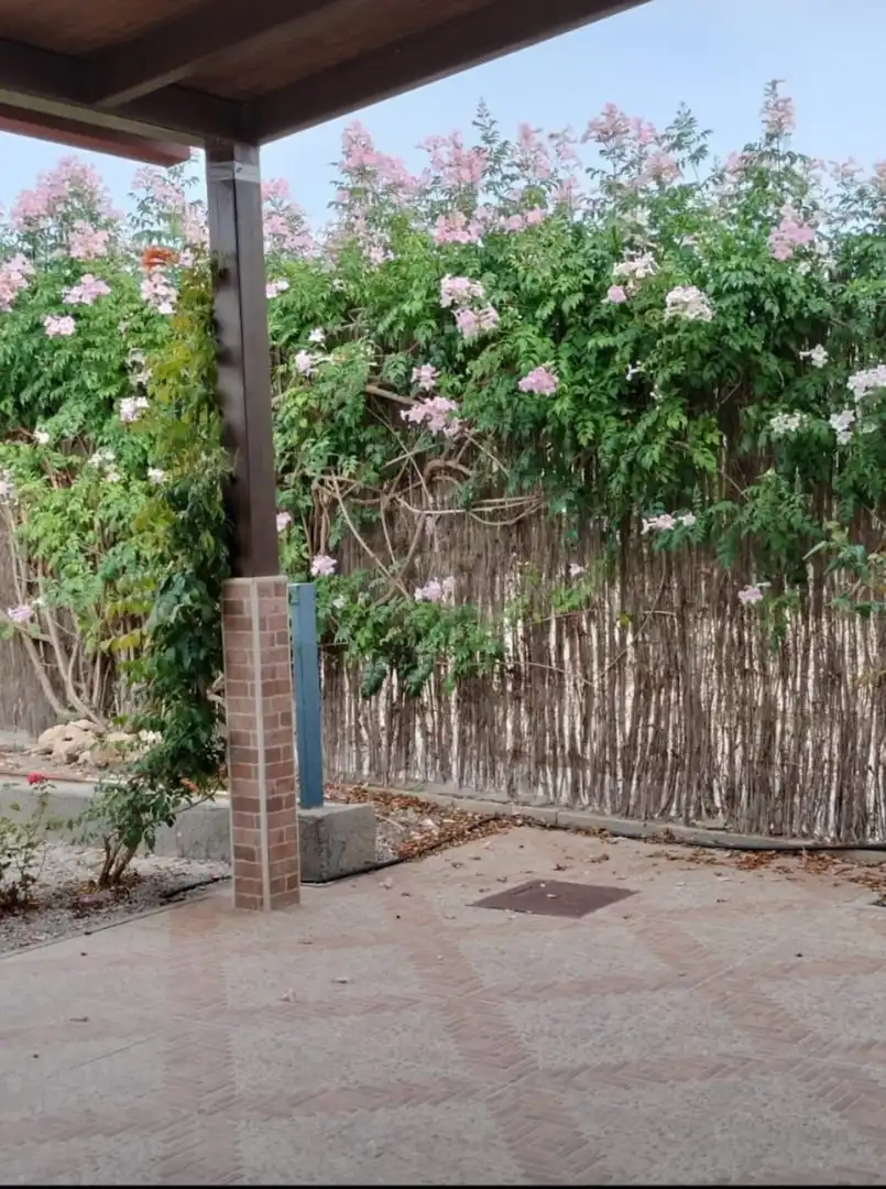 Casa en venta en Pedanías Sur, imagen 31