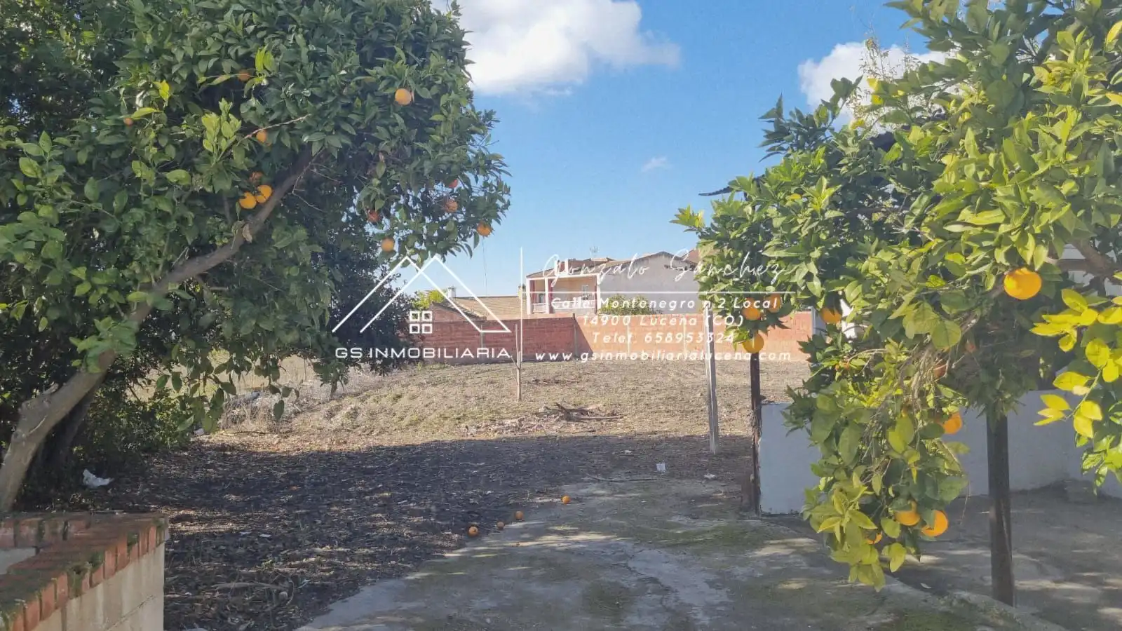 Casa rústica en venta en Navas del Sepillar, imagen 3