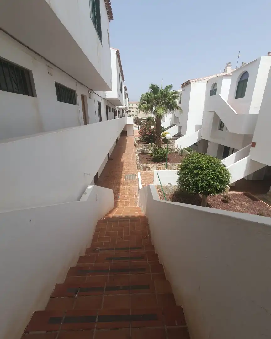 Apartamento con piscina en venta en Calle Minerva 16, imagen 21