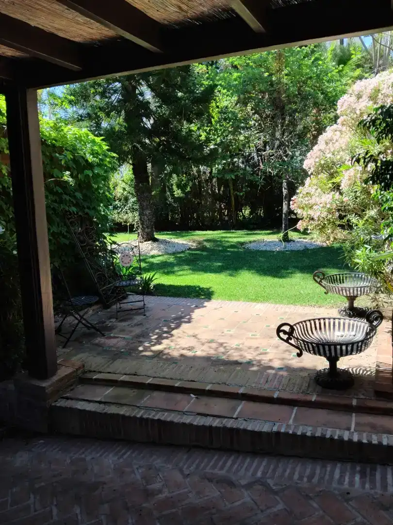 Garden of Houses for rent in Nueva Andalucía