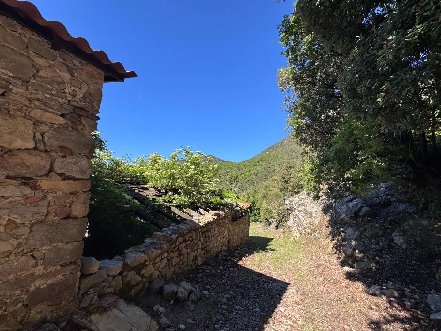 Vista exterior de Finca rústica en venta en Albanyà con Jardín privado, Terraza y Trastero