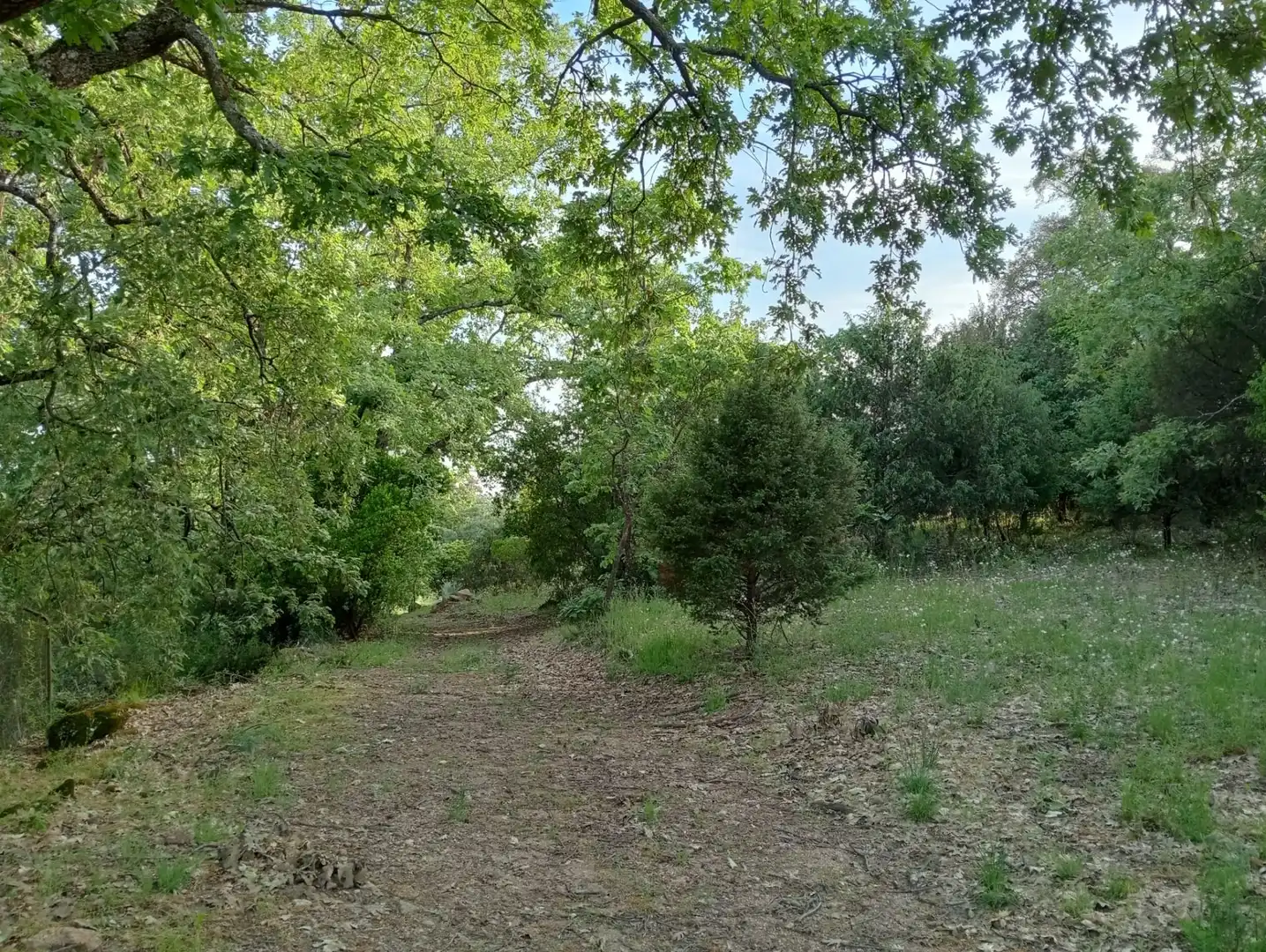 Terreno en venta en Villanueva de la Vera