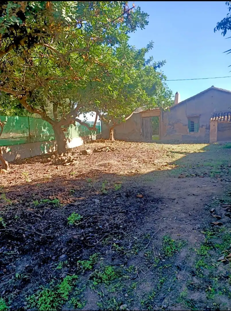 Finca rústica en venta en Pasaje la Ermita, Albujón